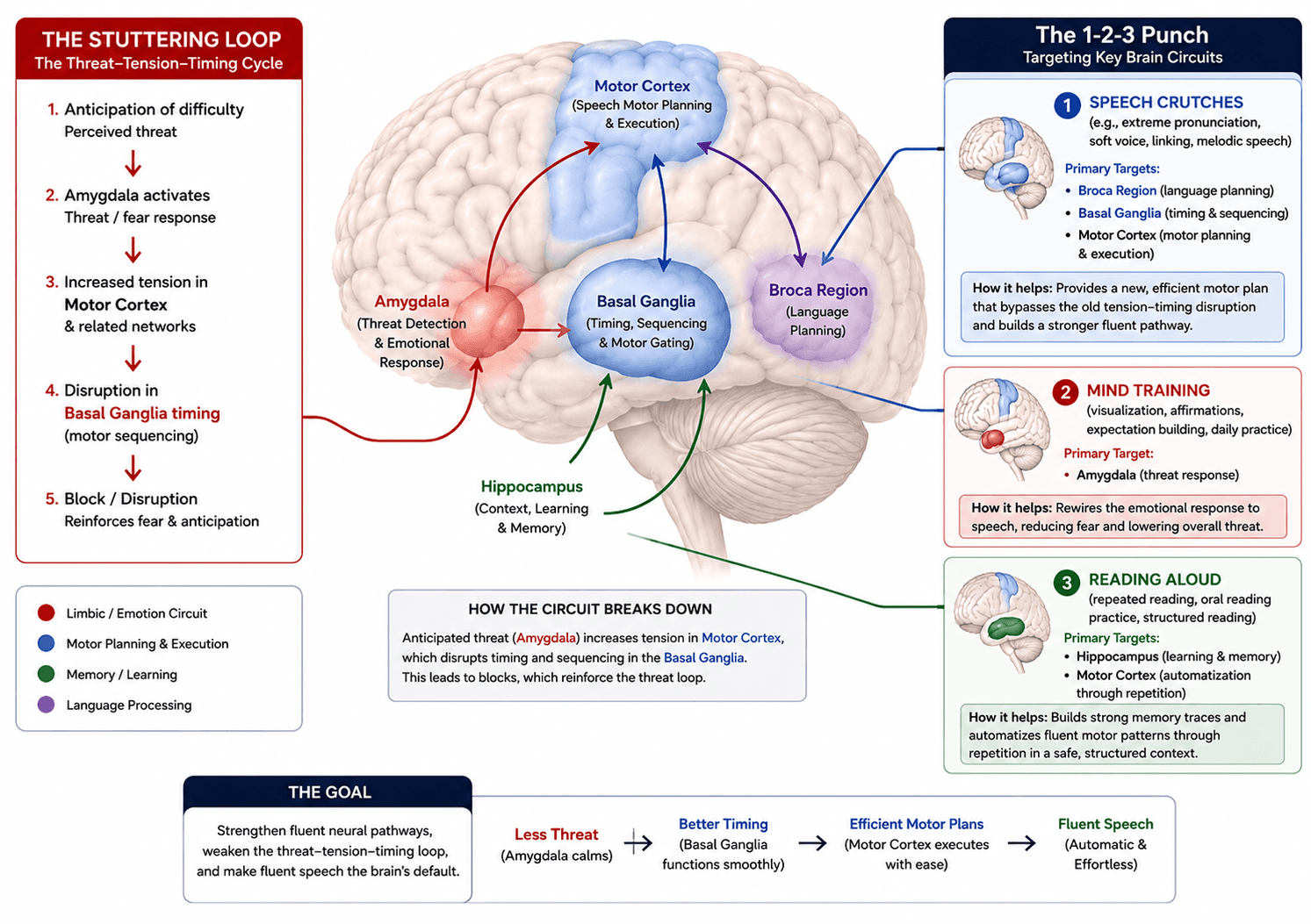 Brain Regions Involved In Stuttering Rewired By The Neuroscience Method