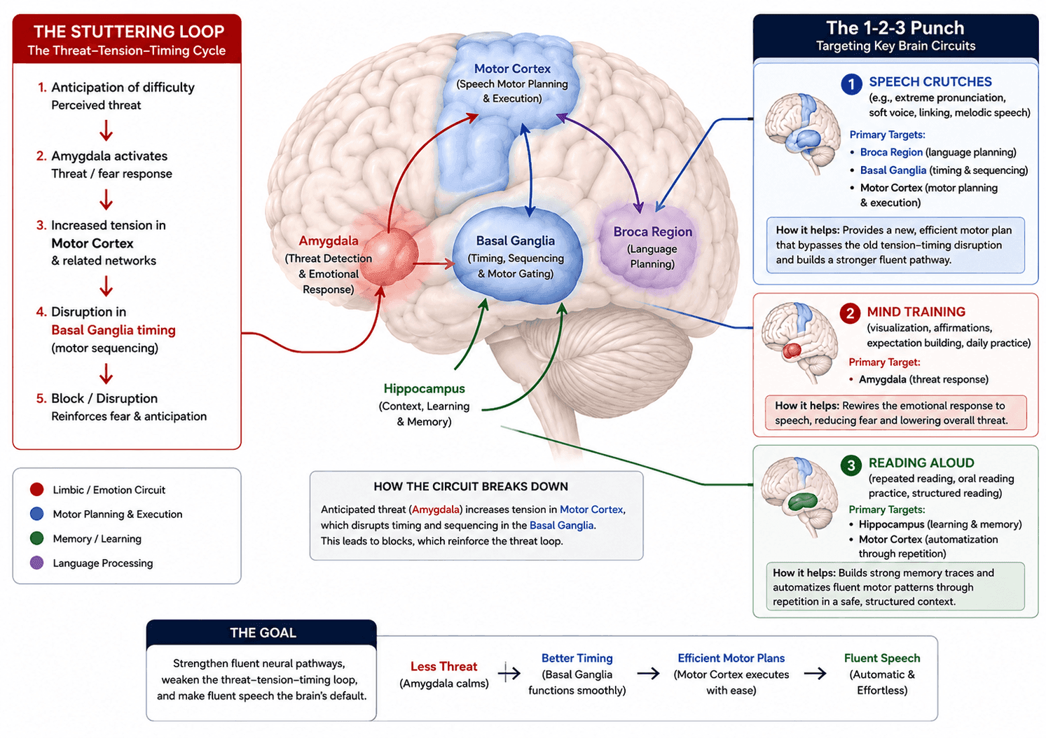 Brain Regions Involved In Stuttering Rewired By The Neuroscience Method